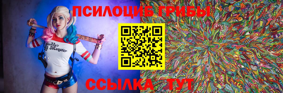 дарнет шоп  Галлюциногенные грибы Magic Shrooms  Вход с VPN  Заводоуковск  Галлюциногенные грибы Psilocybine cubensis 