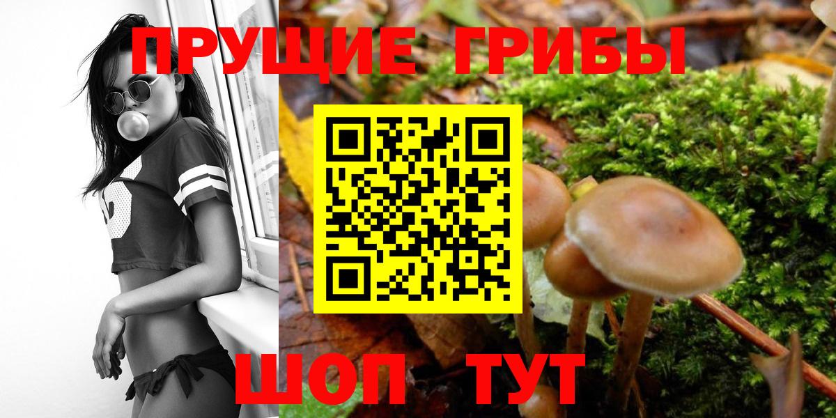 НБОМе  Codein  МЕТАМФЕТАМИН  Марихуана  Кокаин  Гашиш  Меф   Заводоуковск  Метадон 