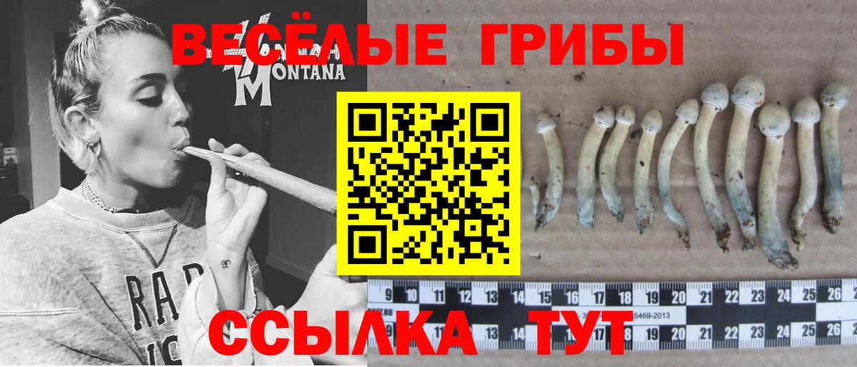 Псилоцибиновые грибы MAGIC MUSHROOMS Заводоуковск