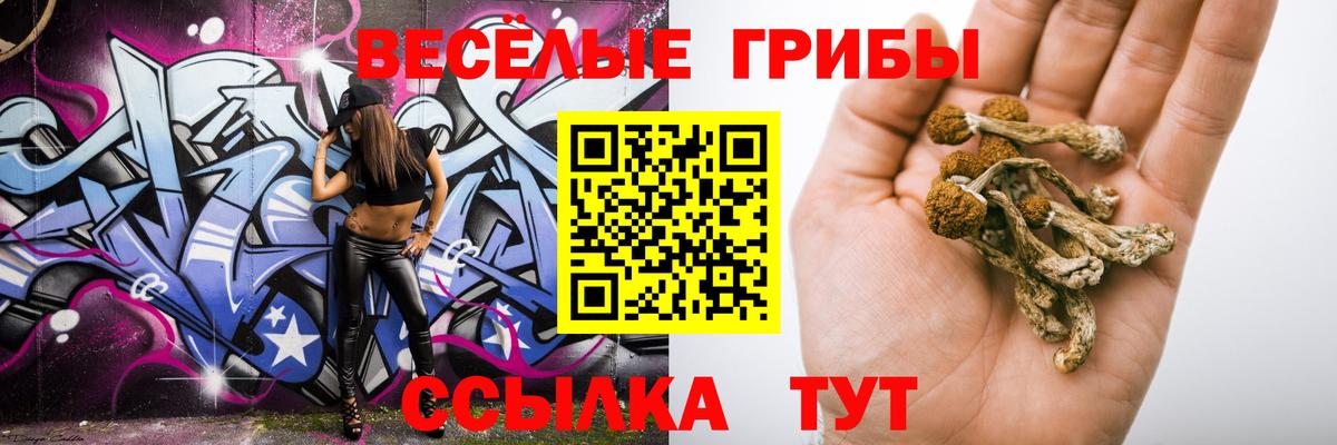 Галлюциногенные грибы Psilocybine cubensis  Заводоуковск 