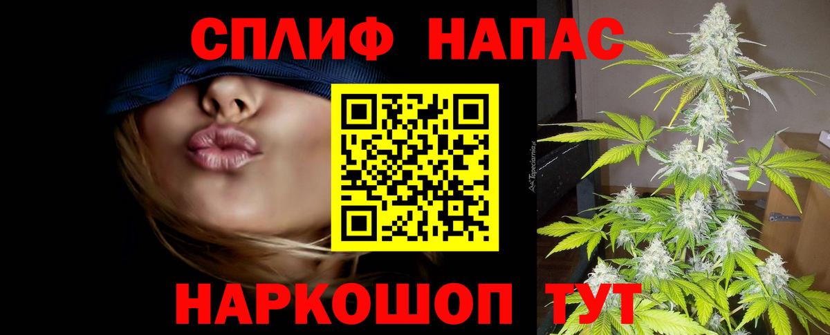 Бошки Шишки White Widow  Каннабис план  Заводоуковск  Вход с VPN  МАРИХУАНА THC 21% 